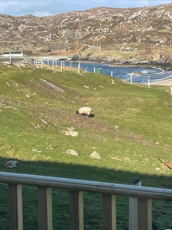 Sea View Cabin Clashnessie Eksteriør bilde