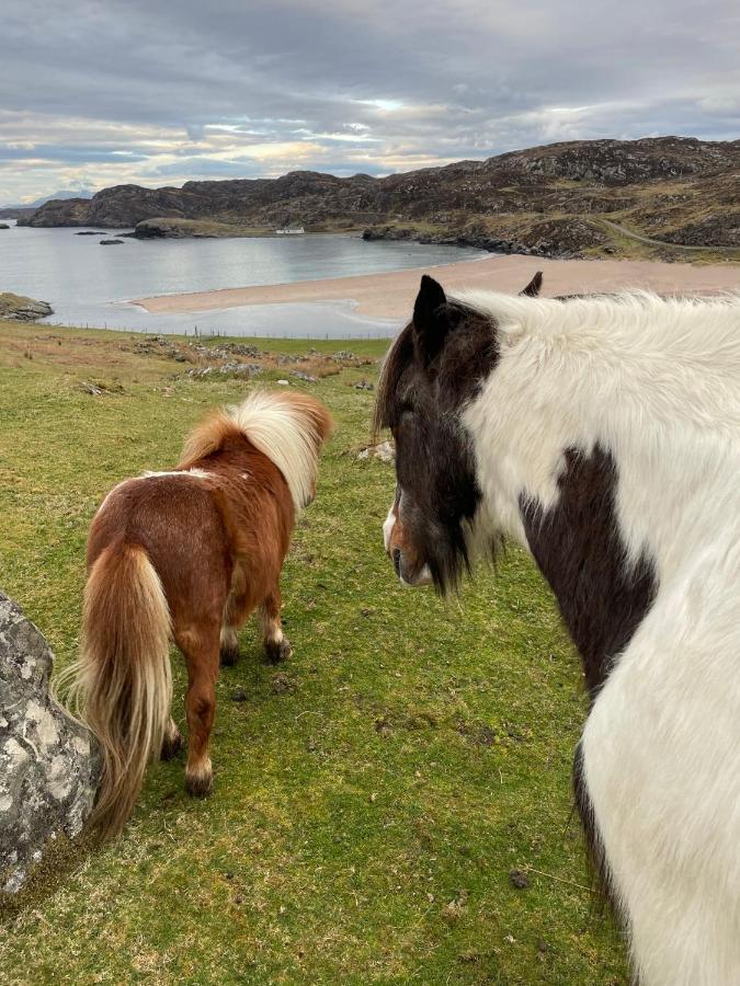 Sea View Cabin Clashnessie Eksteriør bilde